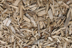 biomass boilers Plungar